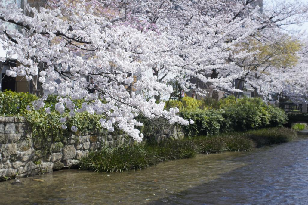 Jeugiya Villa Kyoto Eksteriør bilde