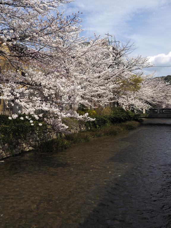 Jeugiya Villa Kyoto Eksteriør bilde